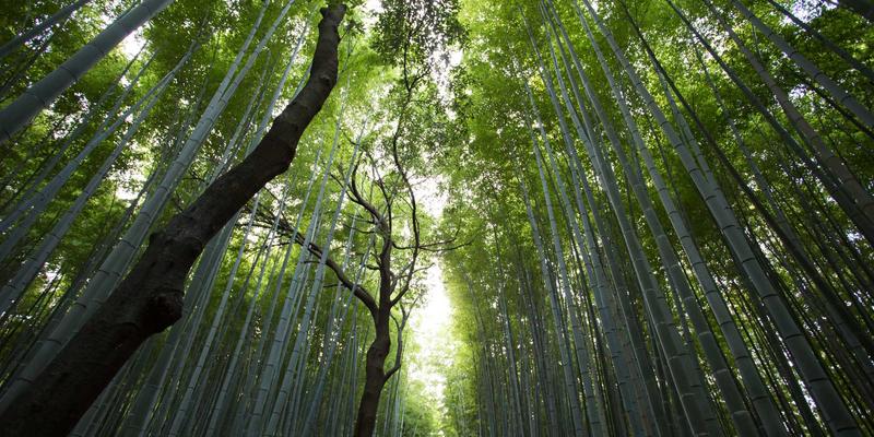 工具全面对比分析